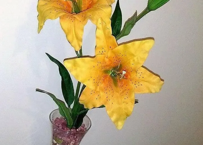 Bed&Breakfast La Cornucopia