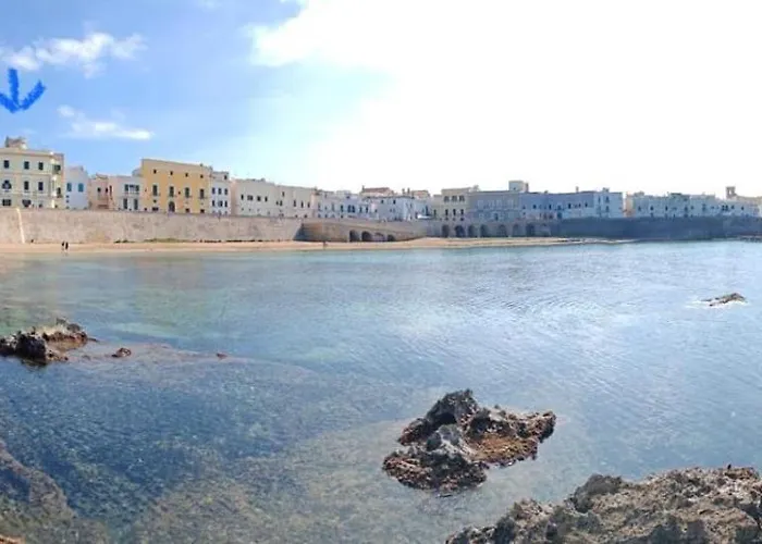 Amare Gallipoli